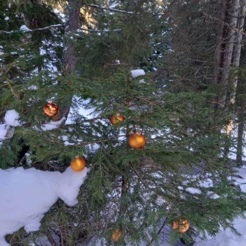 Weihnachtsweg