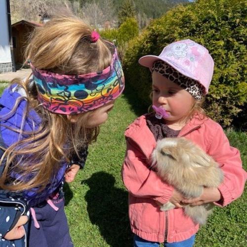 Hase