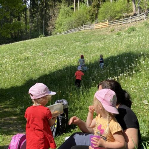 Wald
