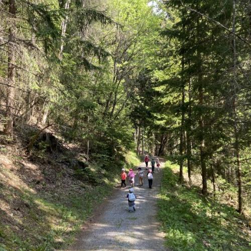Wald