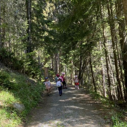 Wald