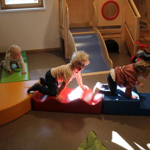 Eingewöhnung