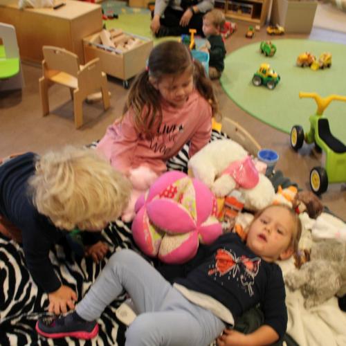 Eingewöhnung