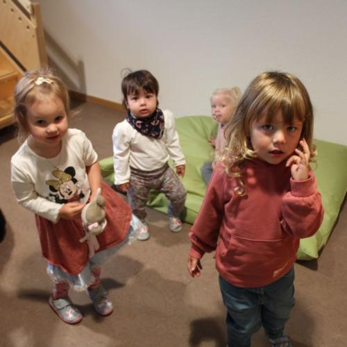 Eingewöhnung
