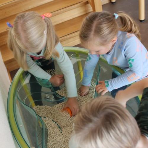 Kindergartenstart
