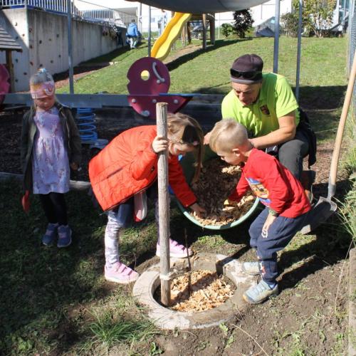 Baum pflanzen