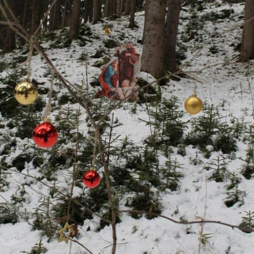 Weihnachtswegladis