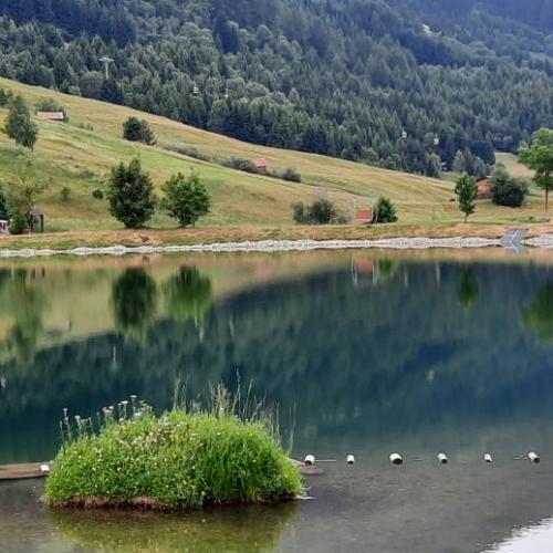 Wolfsee