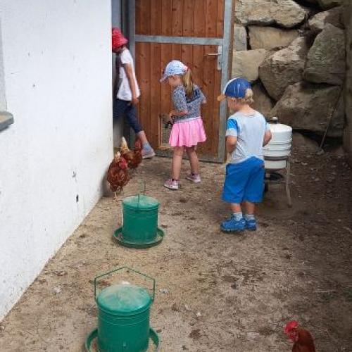 Besuch am Bauernhof