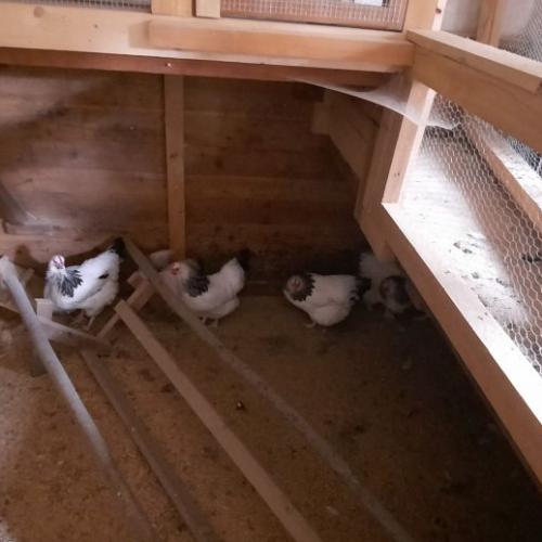 Besuch am Bauernhof