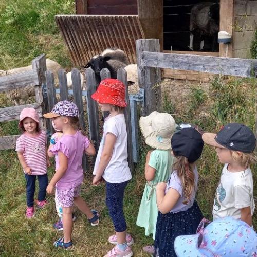 Besuch am Bauernhof
