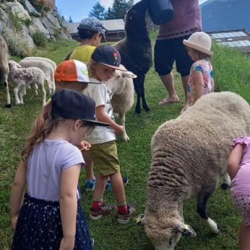 Besuch am Bauernhof