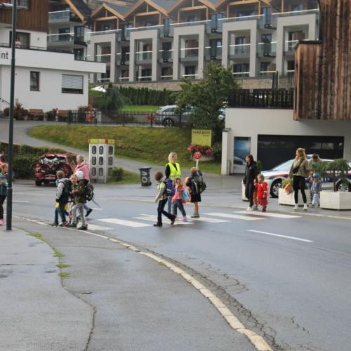 Pedibus