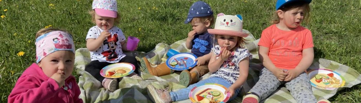 Picknick
