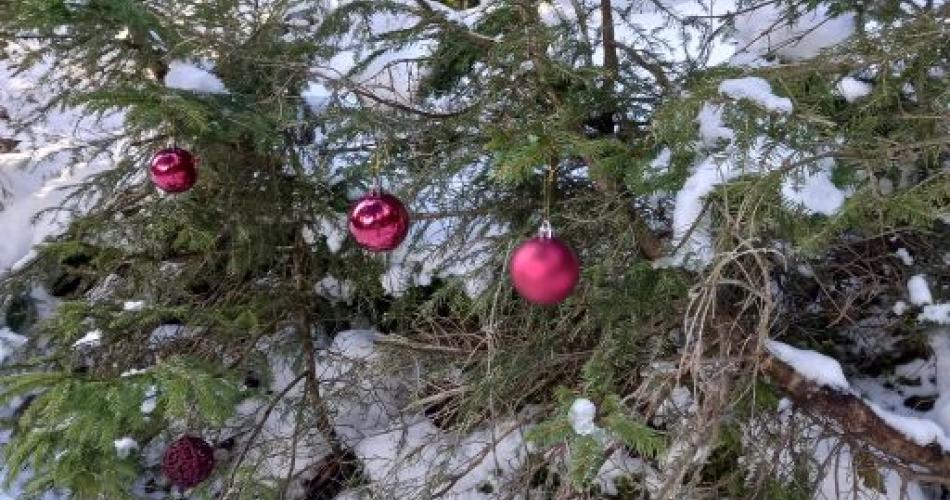Weihnachtsweg