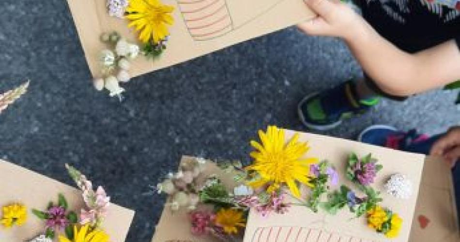 Blumenbilder